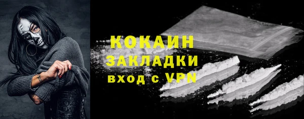 индика Алзамай