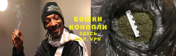 гашик Козловка
