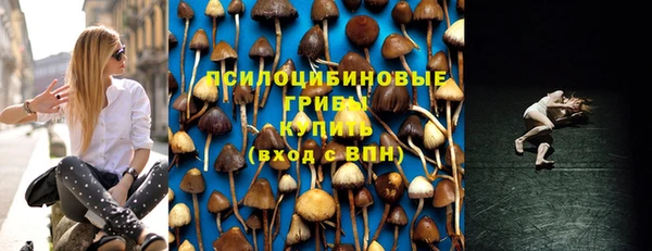 а пвп мука Армянск